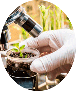 حیوانات در حال انقراض، اکوسیستم ایلام